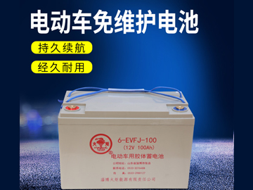 電動車免維護(hù)電池